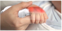 Pediatryczna wyszukiwarka żył vGlo. Oświetlacz naczyniowy LED dla noworodków i małych pacjentów.